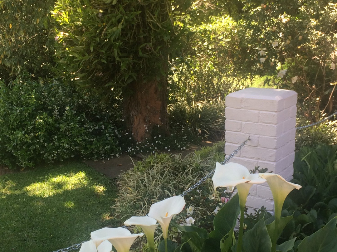 Lemon Rose Cottages主图