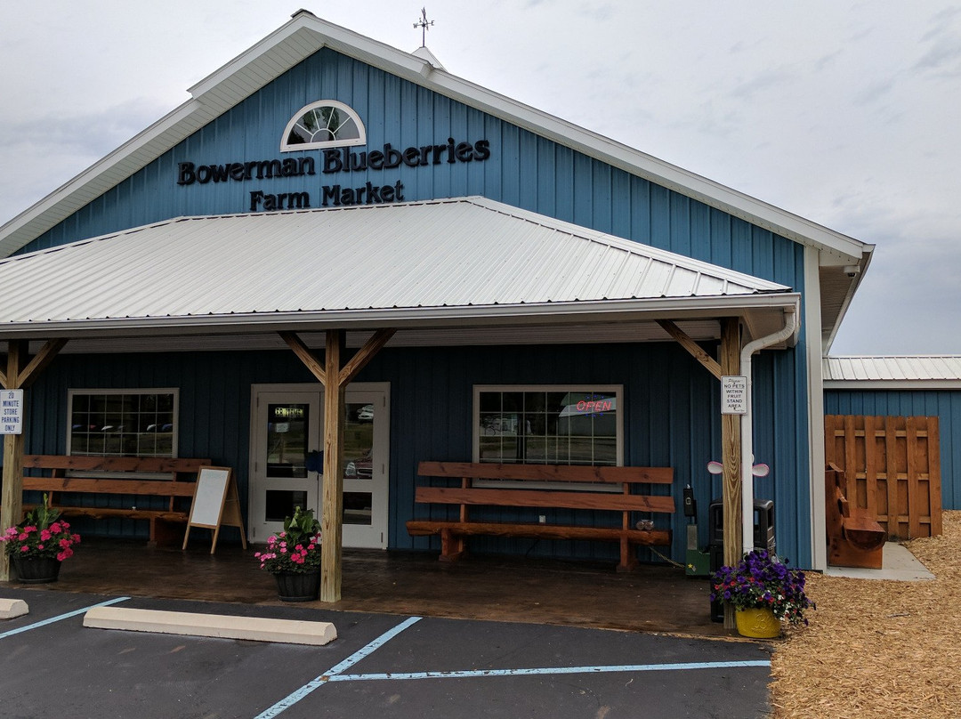 Bowerman Blueberries Farm Market景点图片