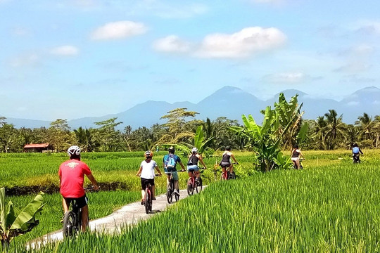 巴厘电动车之旅-乌布必去景点