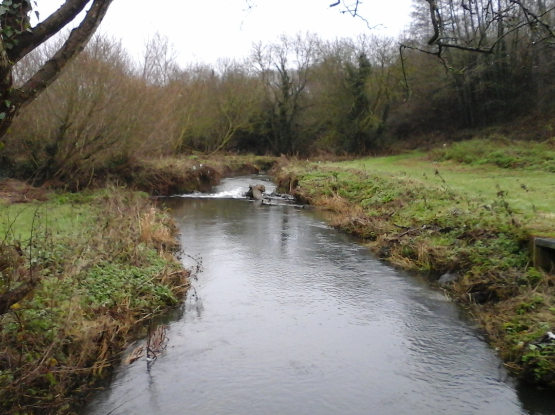 Tolka Valley Park景点图片