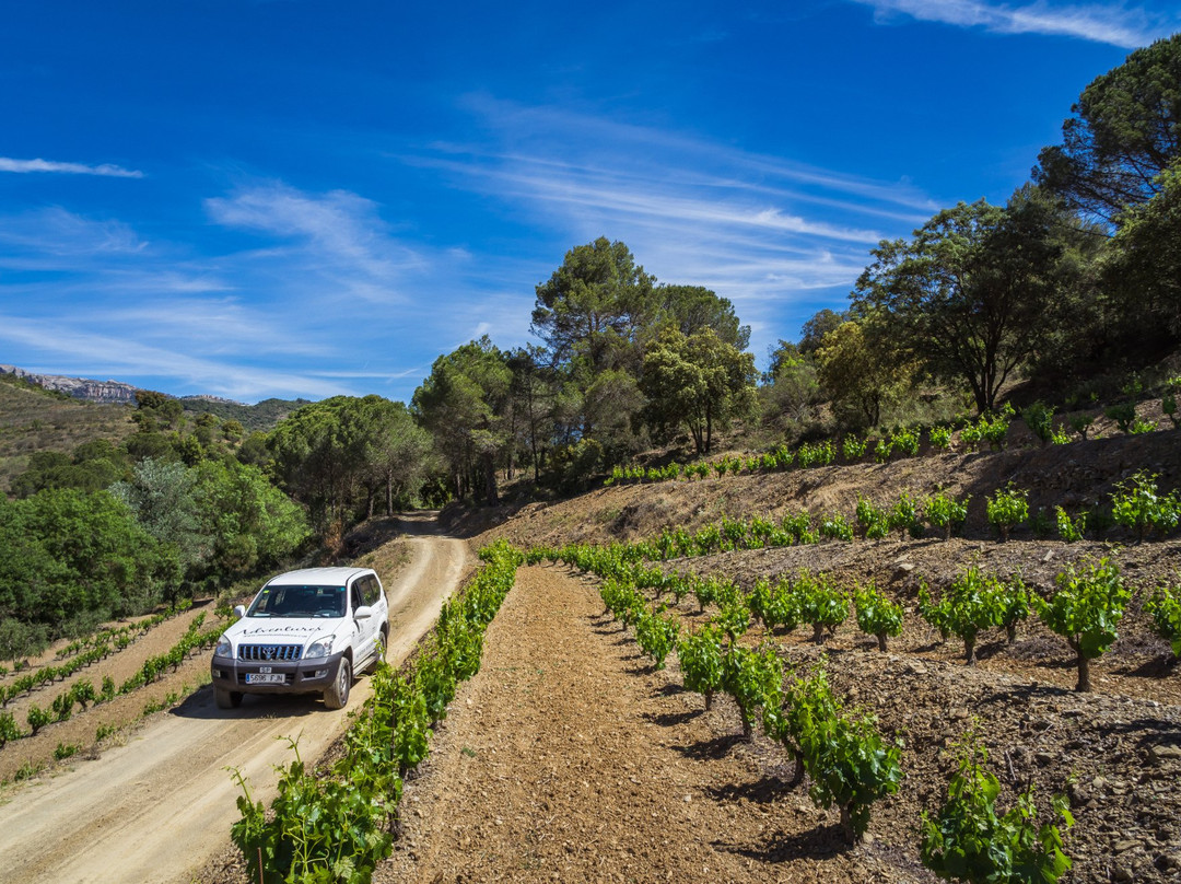 Montsant Natura-Cornudella de Montsant必去景点