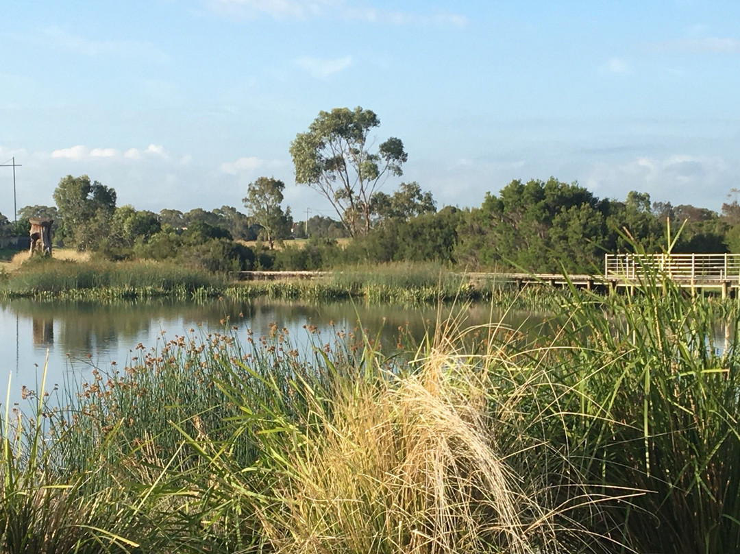 Serpentine Court Reserve景点图片