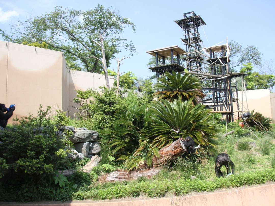 日立市旅游景点-Kamine Park