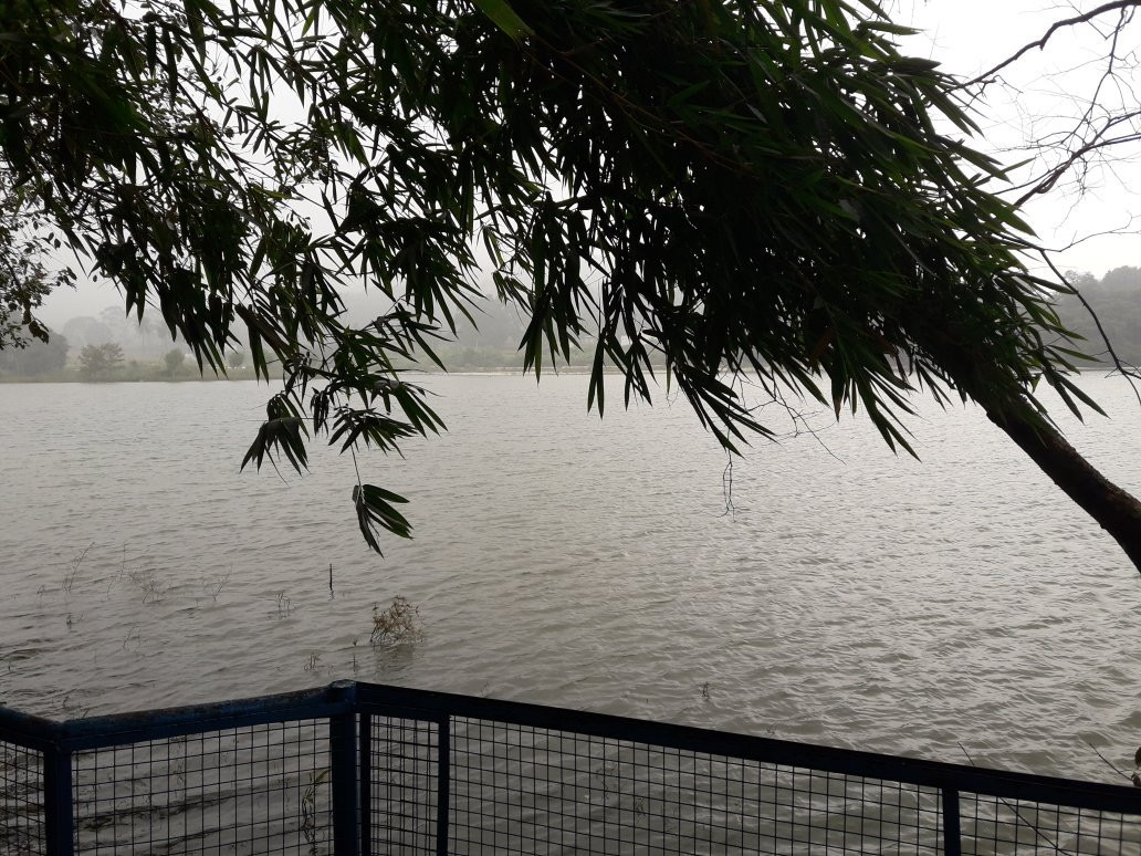 Punganoor Lake景点图片