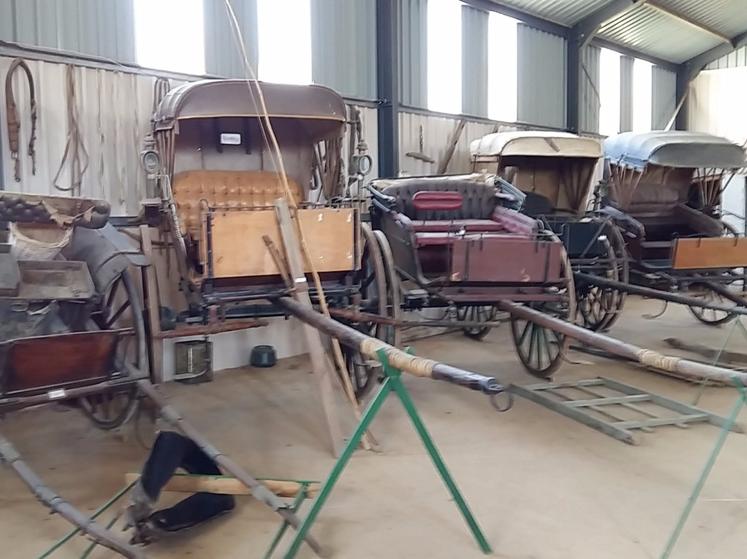 Darling Museum-Darling必去景点