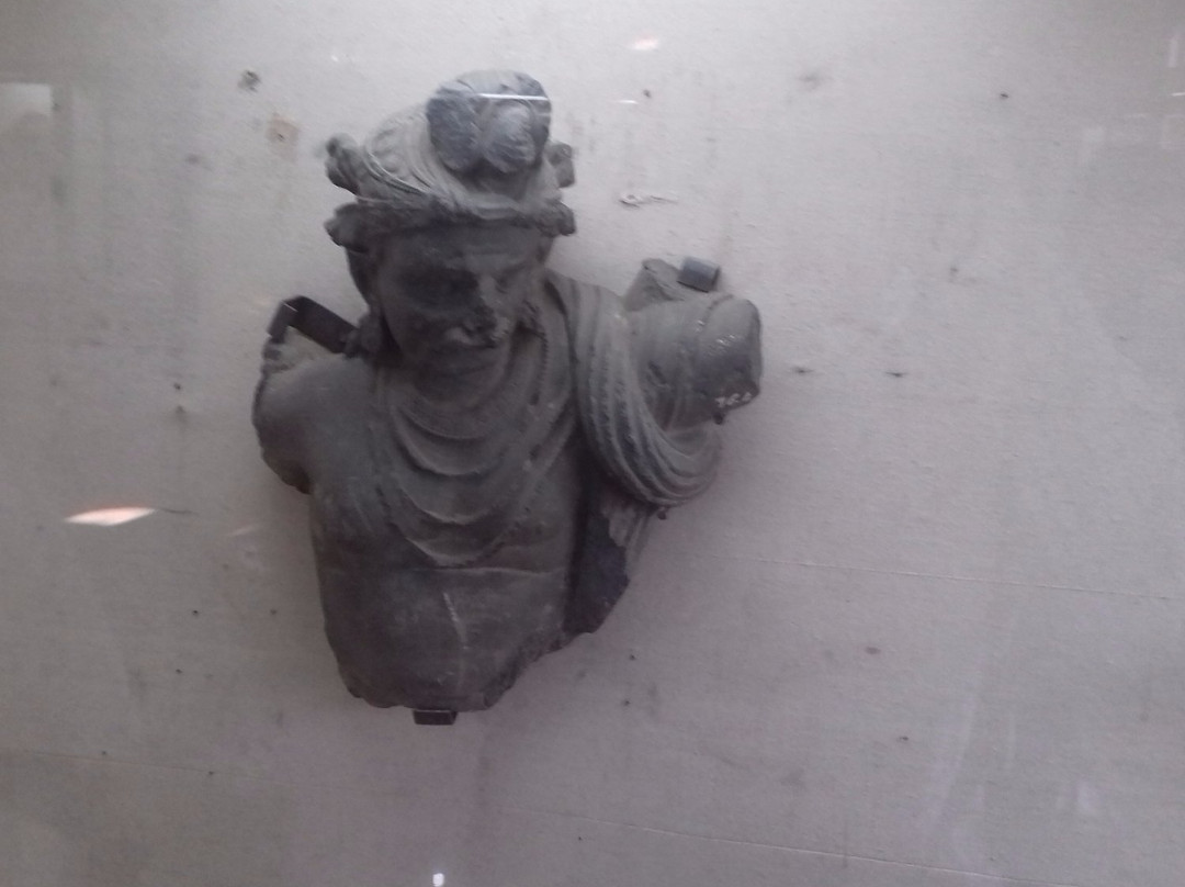 Mardan旅游景点-Mardan Museum