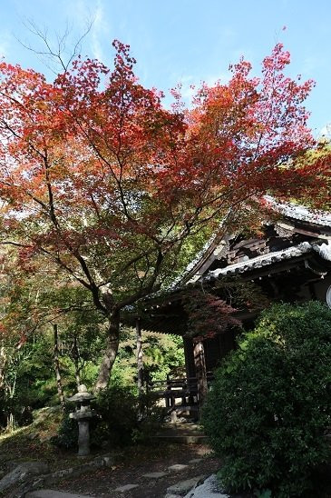 Genkoji Temple-木津川市必去景点