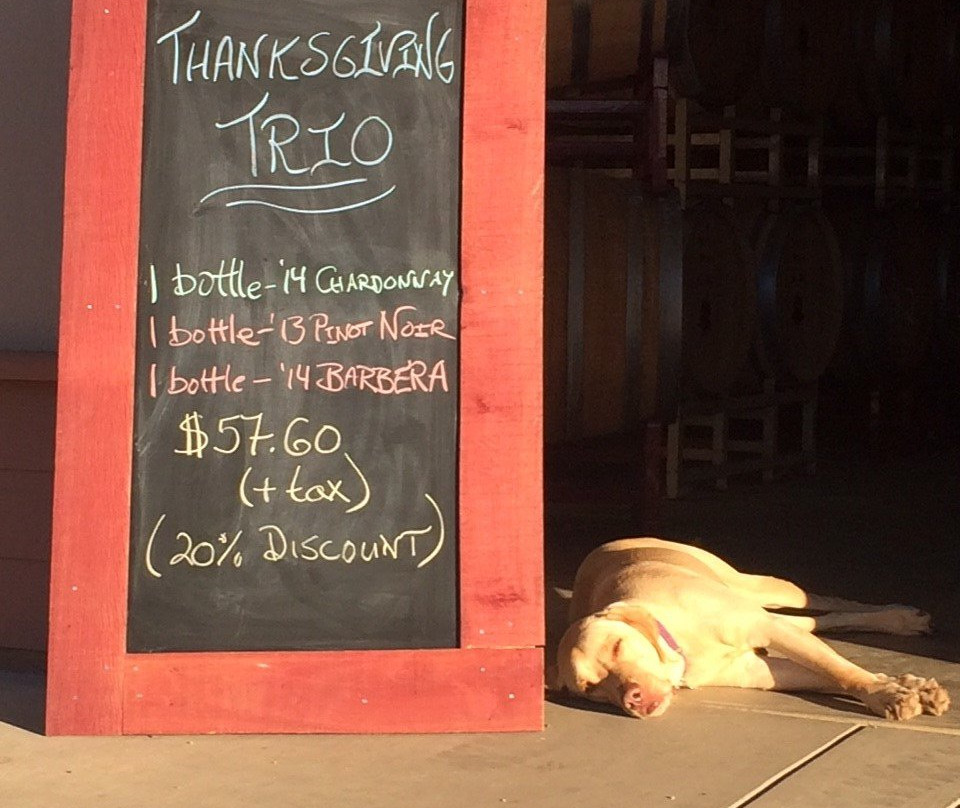 Rucksack Cellars-普莱瑟维尔必去景点