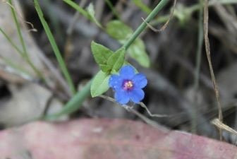 Moree Reserve-Kaniva必去景点