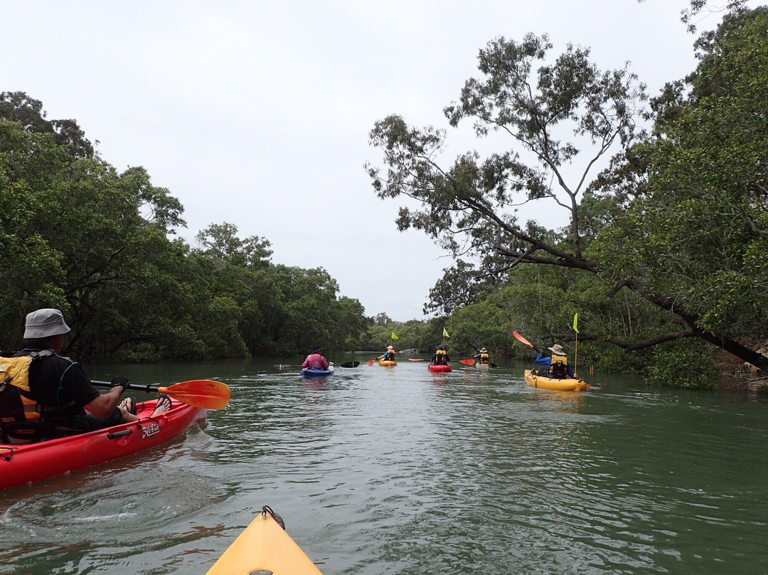 Redlands Kayak Tours景点图片