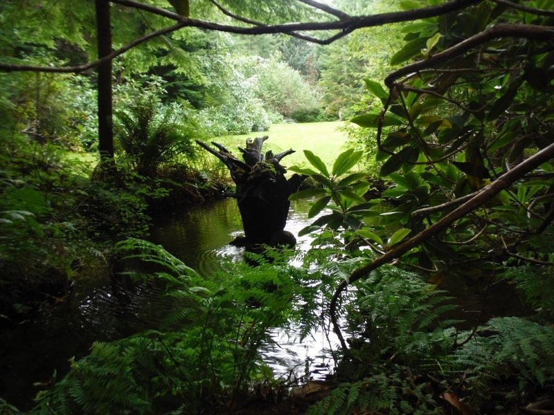 Kitty Coleman Woodland Gardens景点图片