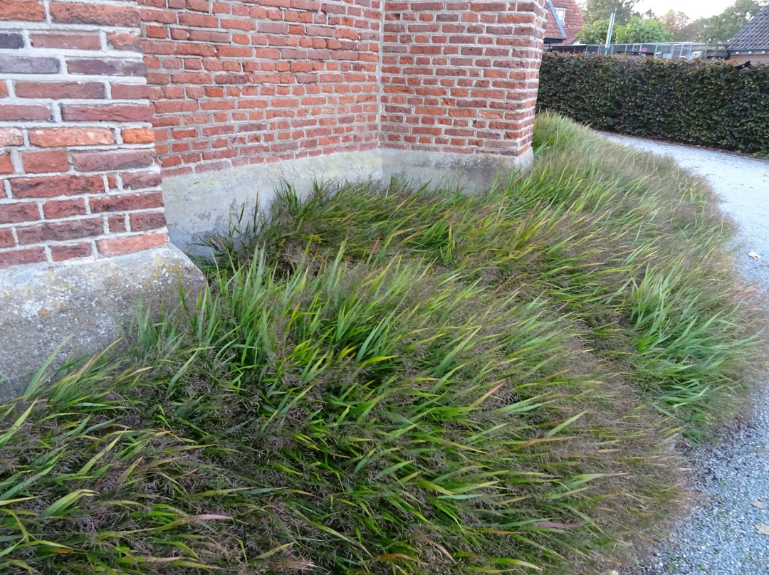 voormailge Pieterskerk Eemnes of "Het Dikke Torentje"-Eemnes必去景点