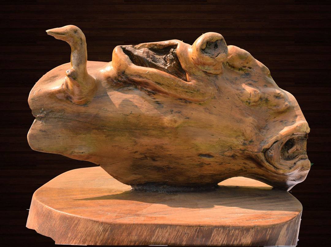 Das Driftwood Museum & Park景点图片