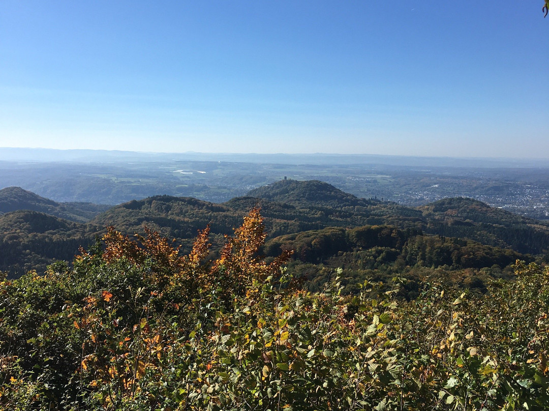 Naturpark Siebengebirge景点图片