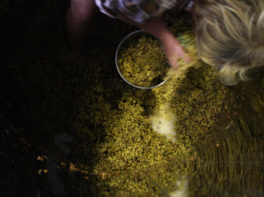 Quealy Winemakers景点图片