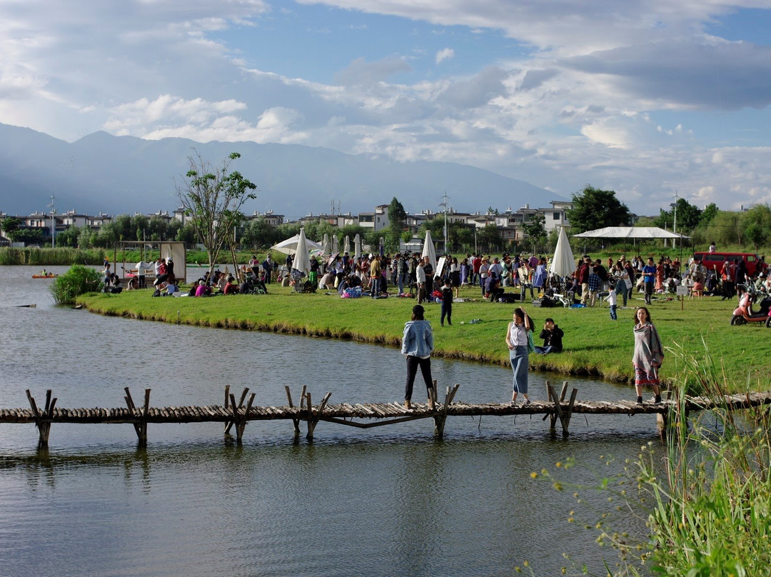 早春游-大理市必去景点