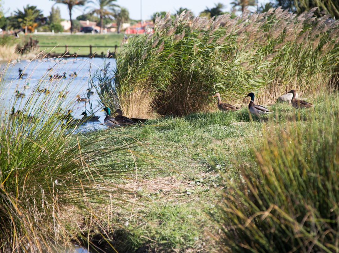 Parc De La Prade-Saint-Cyprien必去景点