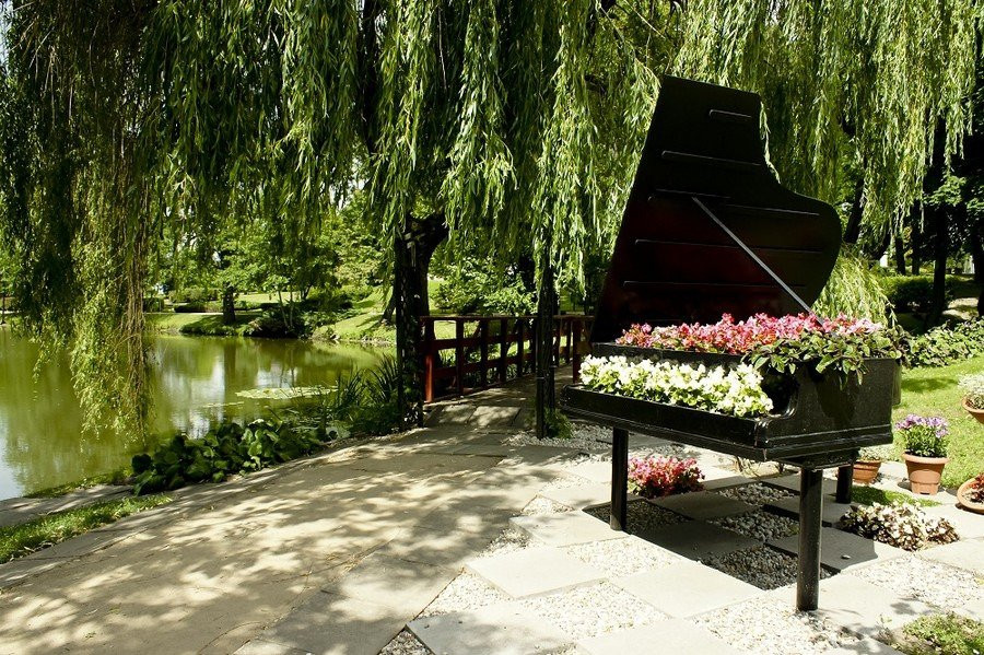 Chopin Centre in Szafarnia景点图片
