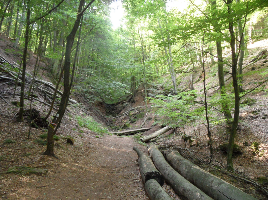 Bruchmuehlbach-Miesau旅游攻略图片