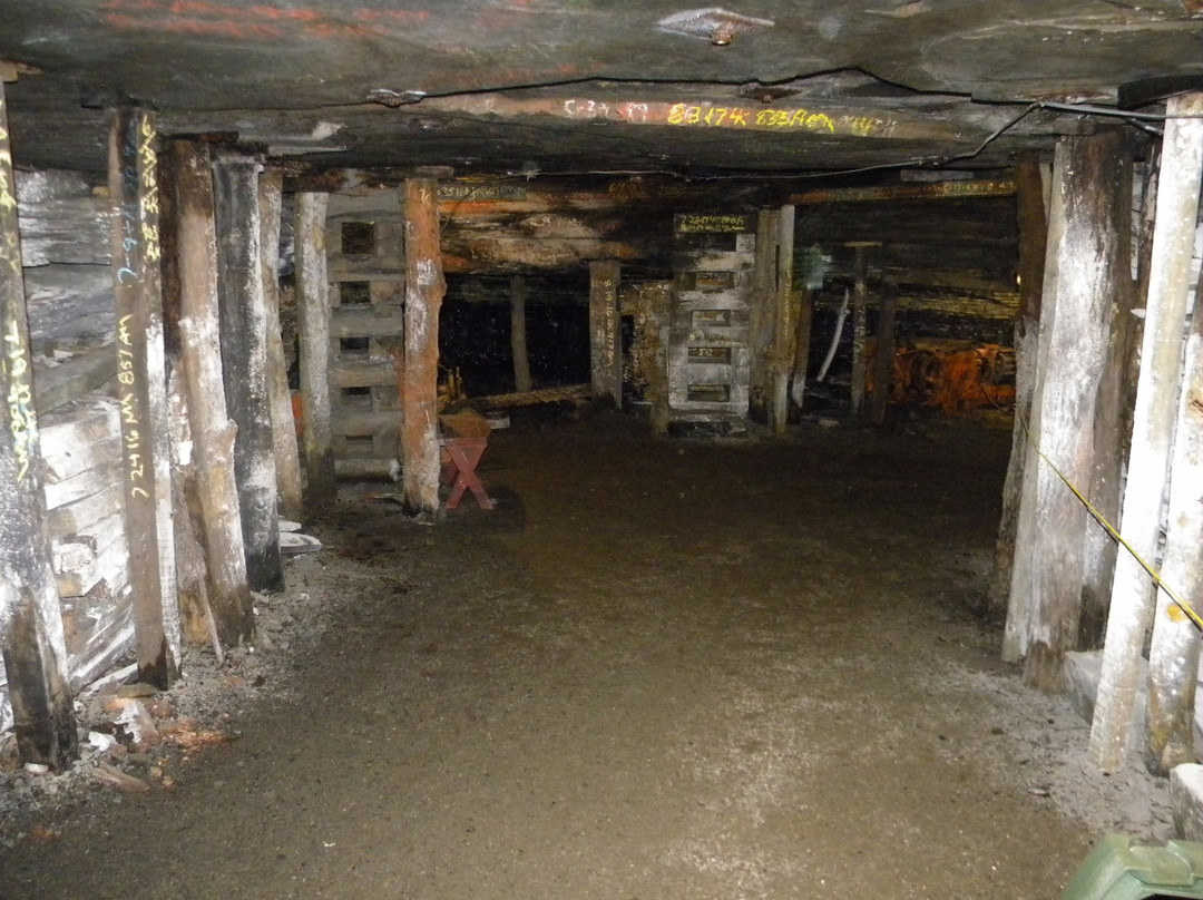 Tour-Ed Coal Mine景点图片