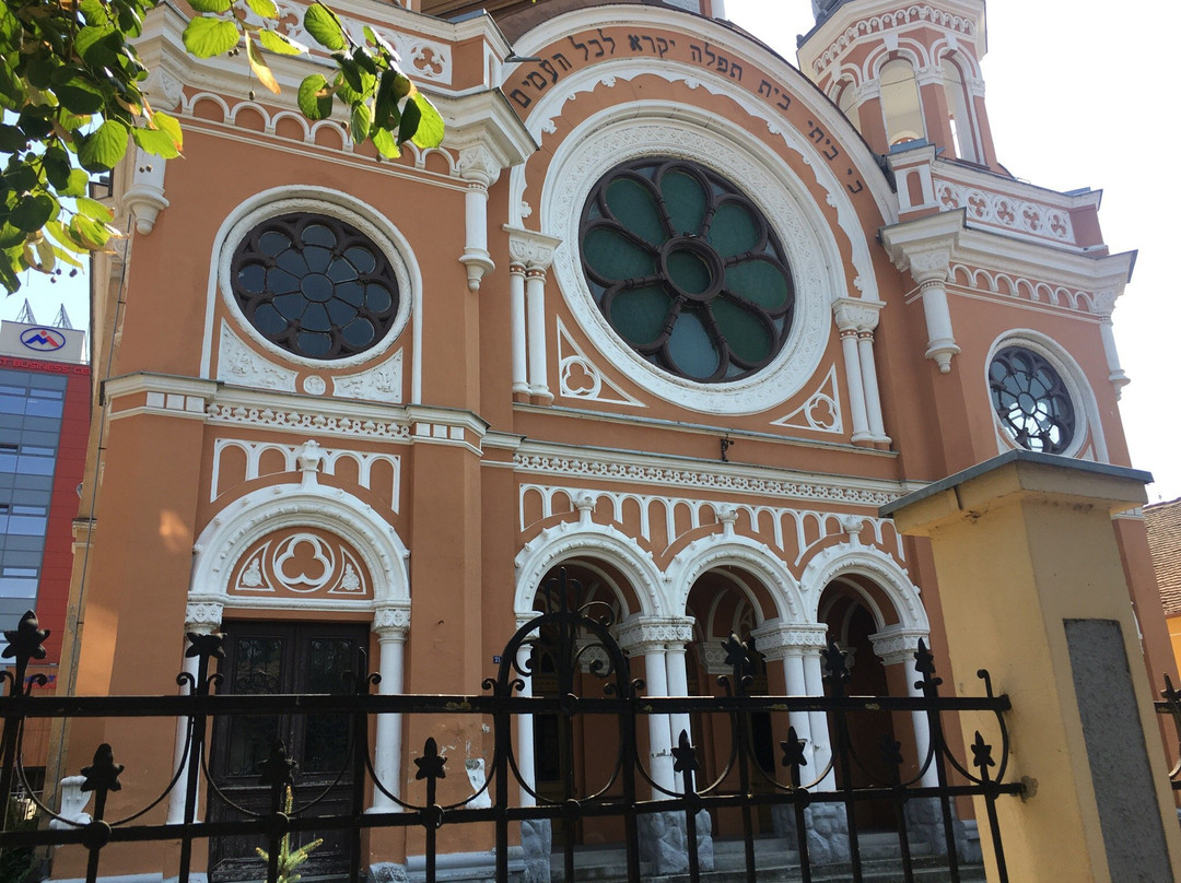 Synagogue of Tg. Mures景点图片