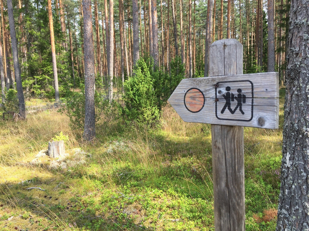 Ojaaarse Forest Trail-Vosupere必去景点