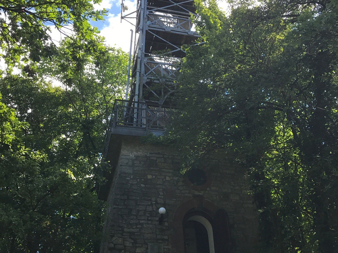 Bismarckturm in Salzgitter-Bad-萨尔茨基特必去景点
