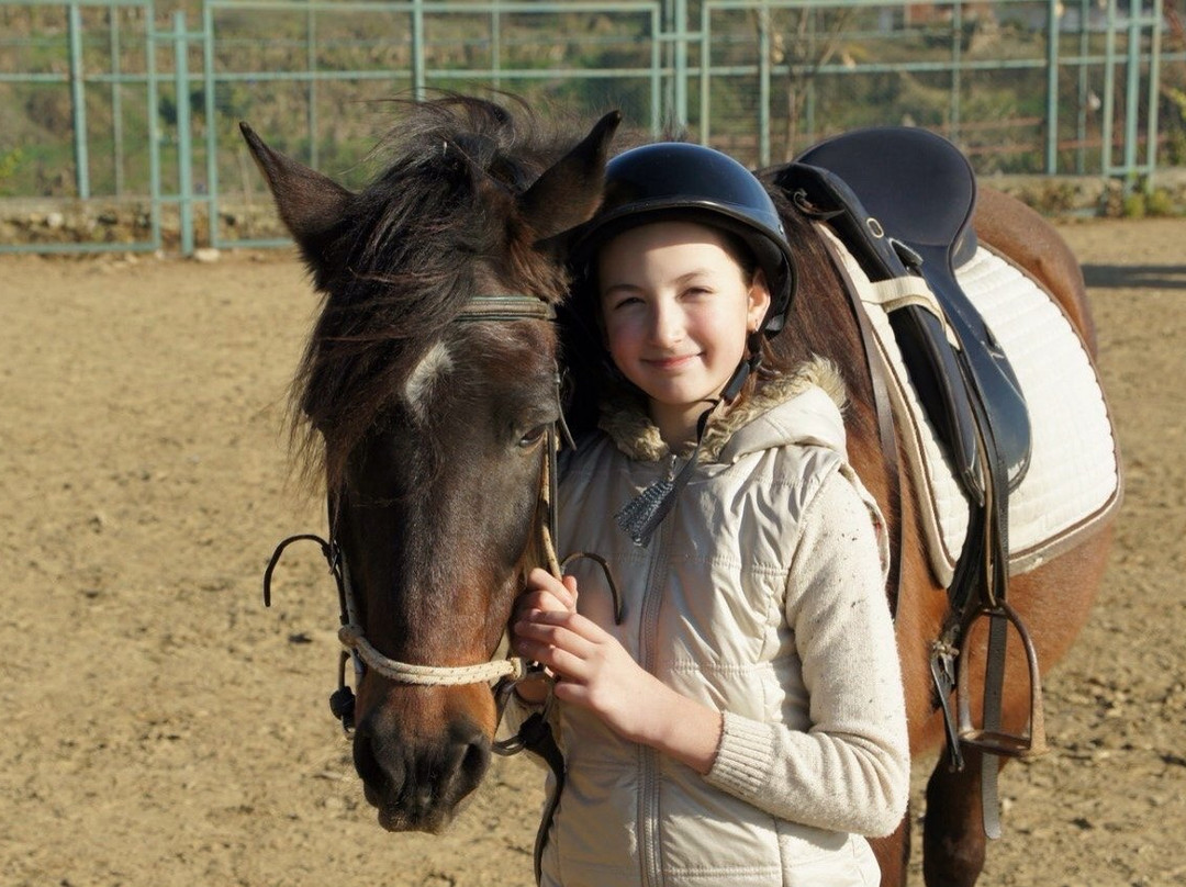 Horse Riding by Tours in Alanya景点图片