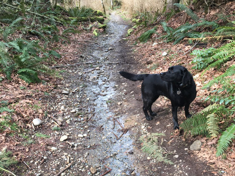Soaring Eagle Park-Sammamish必去景点