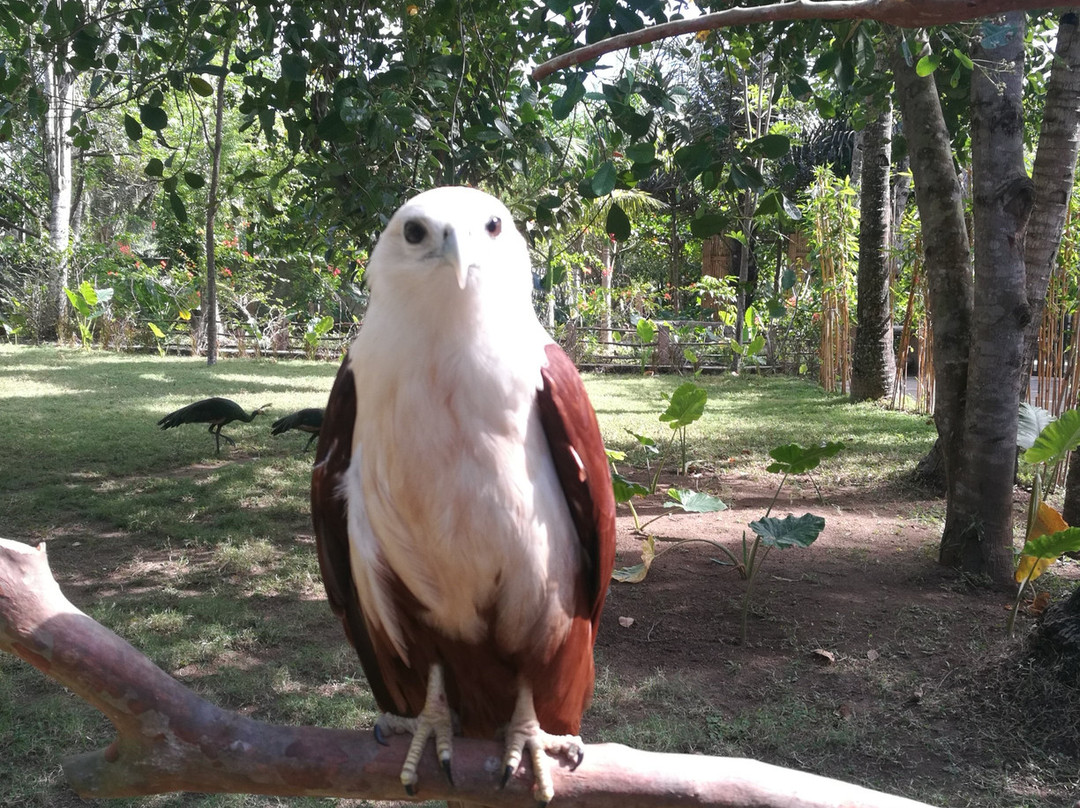 Lombok Wildlife Park-Tanjung必去景点