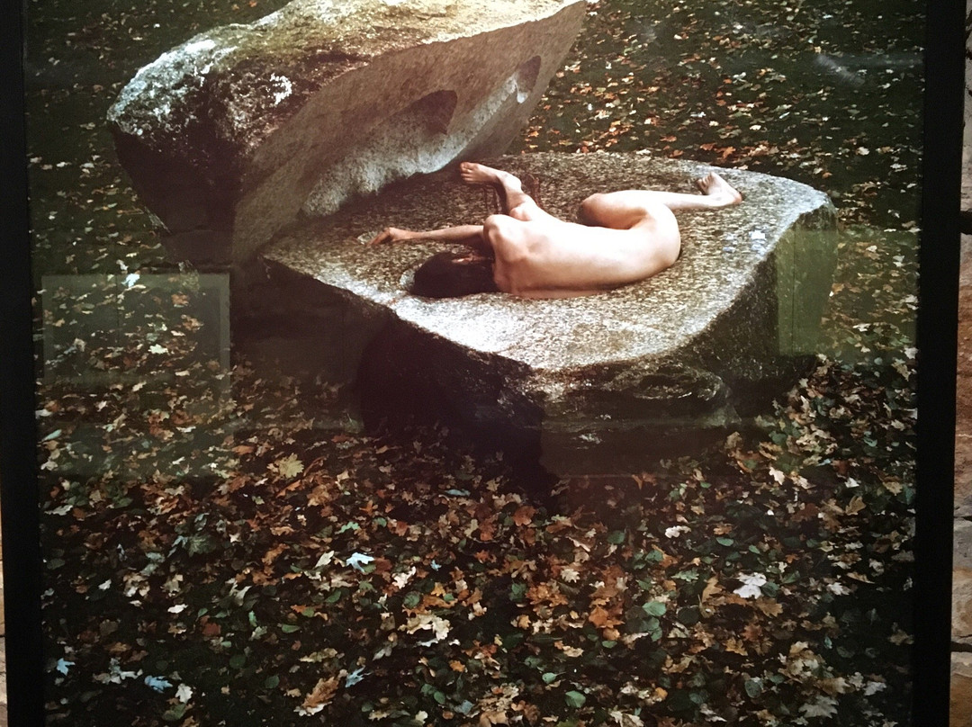 Museum für Sepulkralkultur-卡塞尔行政区必去景点