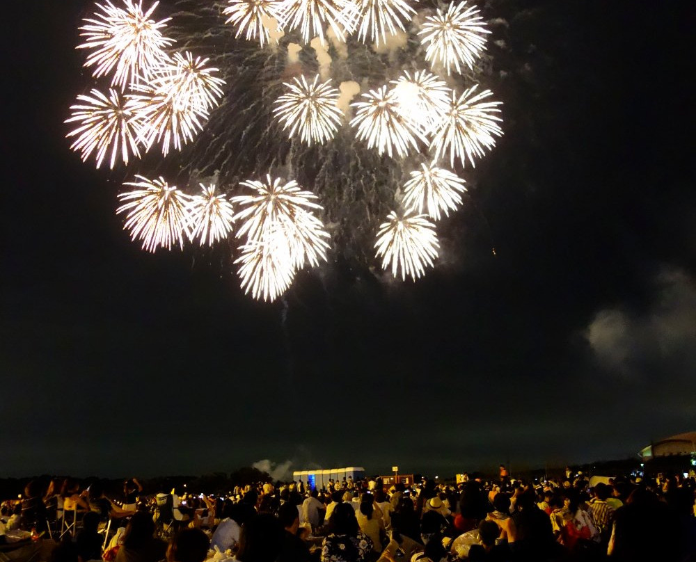 Oyama Fireworks-小山市必去景点