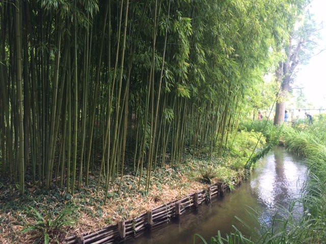 莫奈基金会景点图片