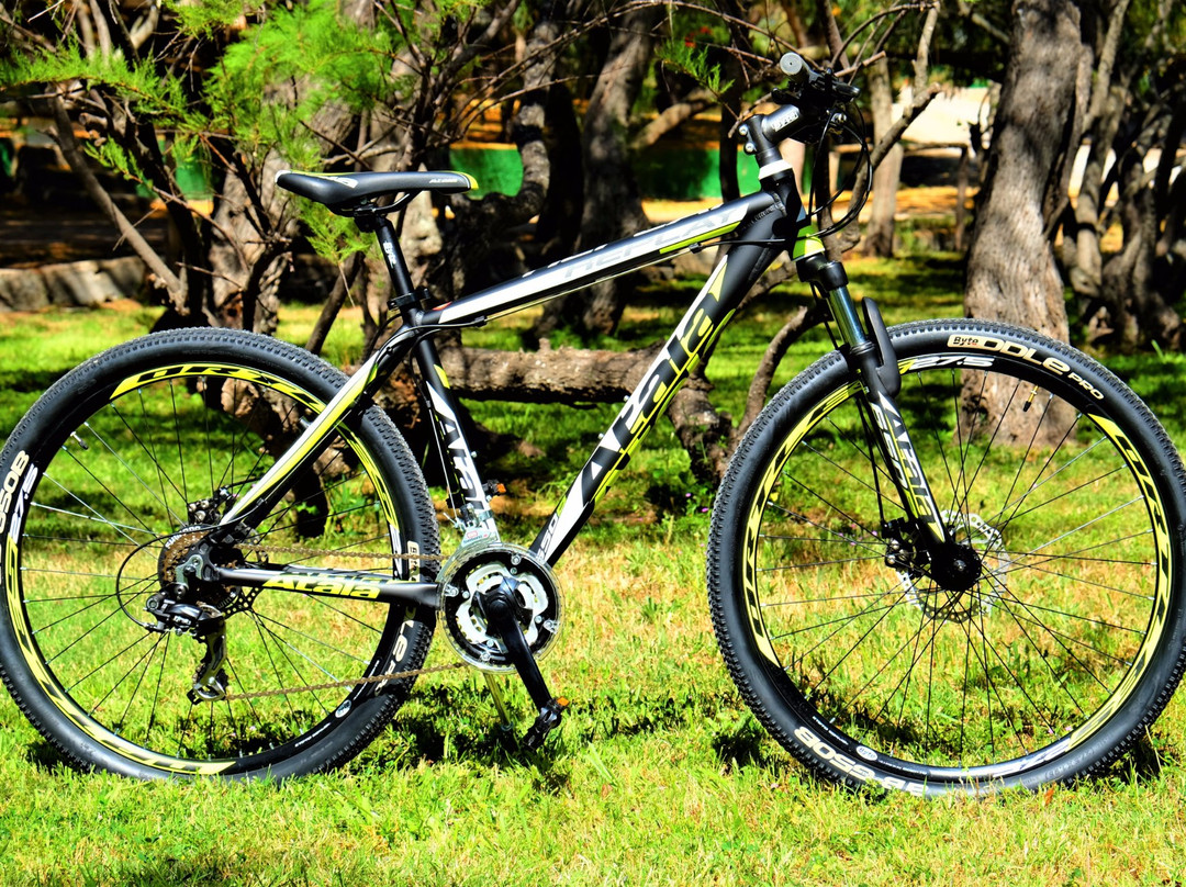 Xtreme Sport & Co - Bike and Scooter Rentals-阿尔盖罗必去景点