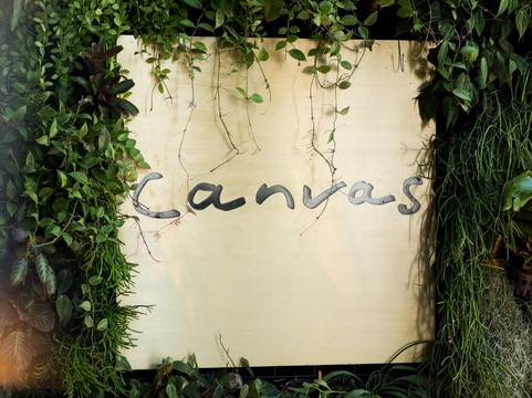 Canvas主图
