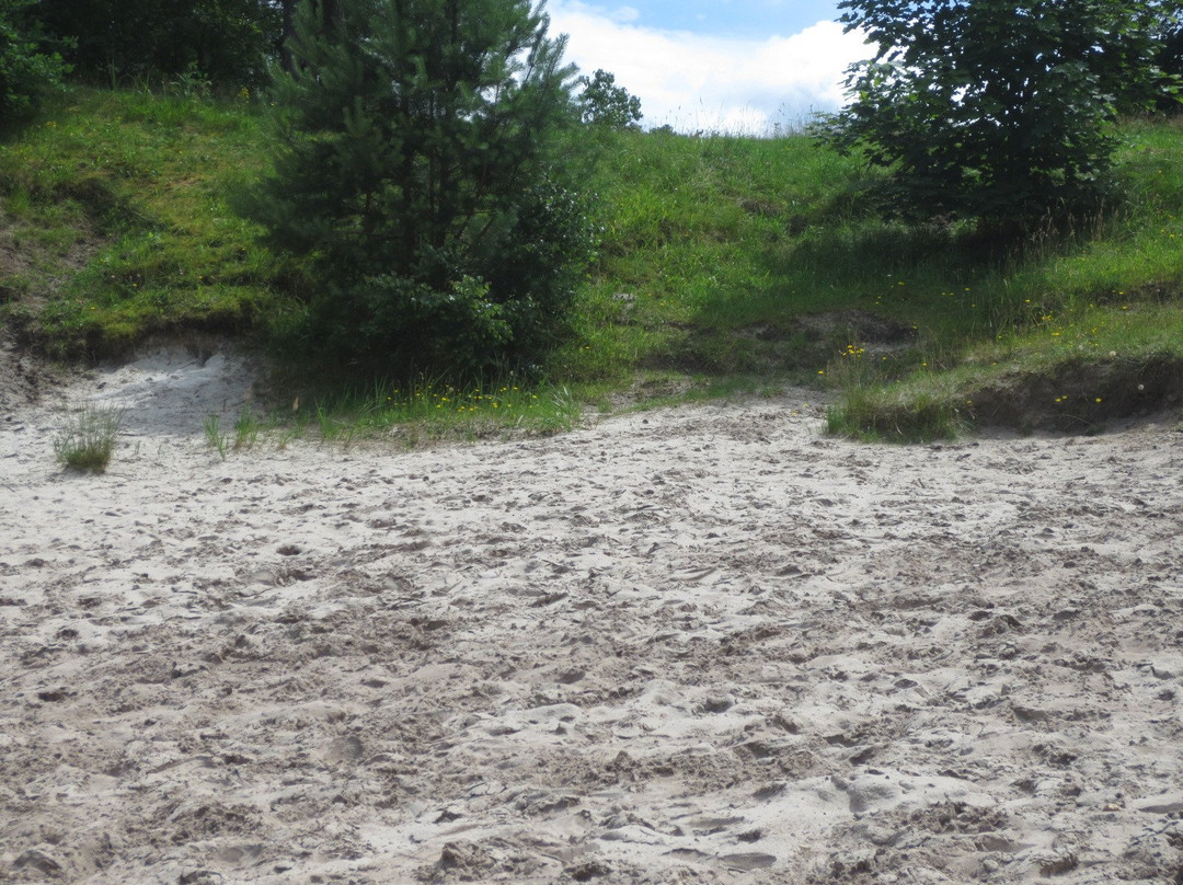 Flüeggenhofsee-Munster必去景点