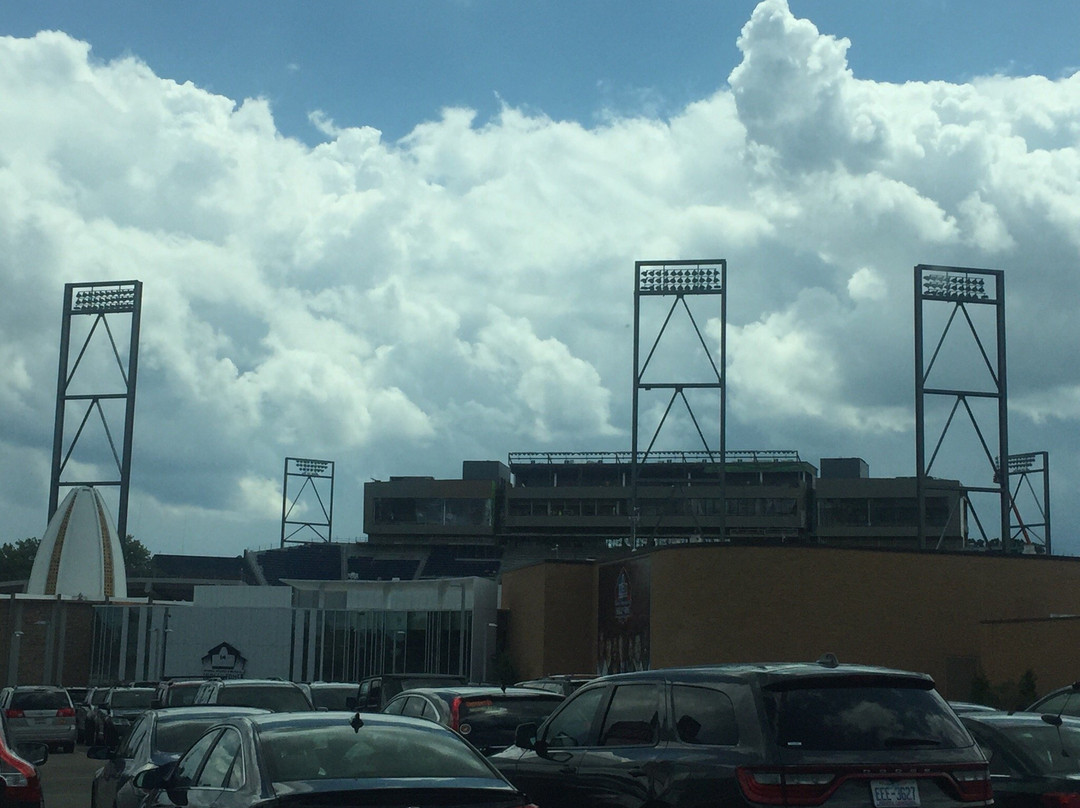 Tom Benson Hall of Fame Stadium-坎顿必去景点