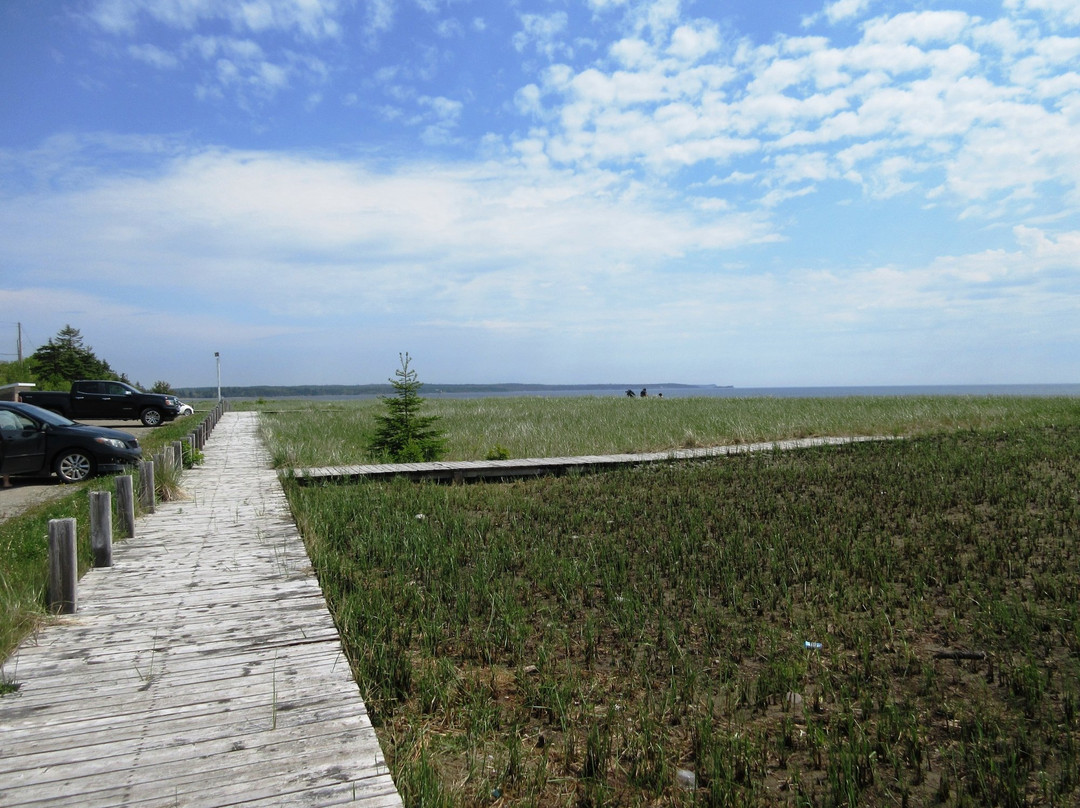 Mira Gut Beach景点图片