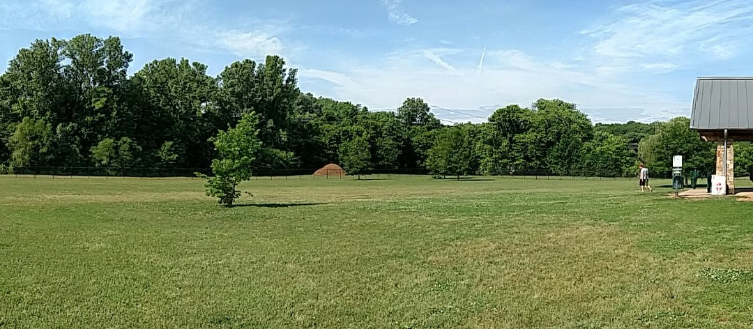 Liberty Park & Clarksville Marina-克拉克斯维尔必去景点