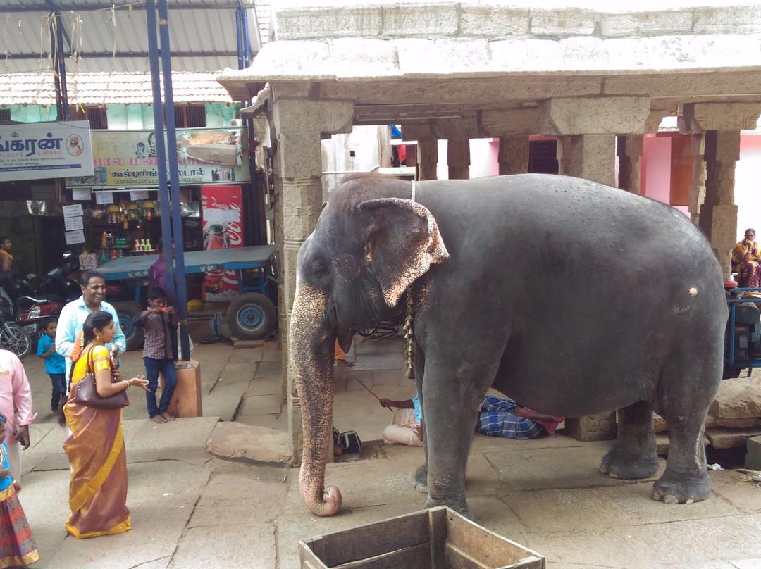 Kundrakkudi Murugan Temple景点图片