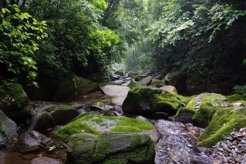 五道峡-保康县必去景点