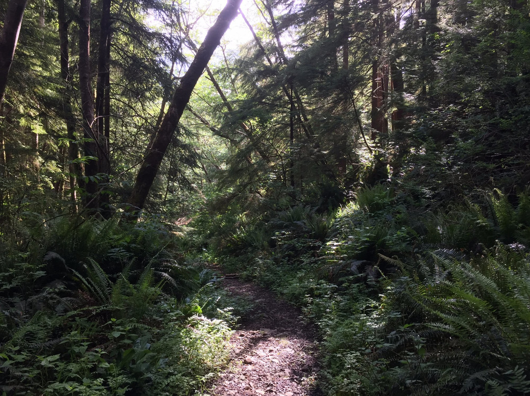 Tillamook Head National Recreation Trail-锡赛德必去景点