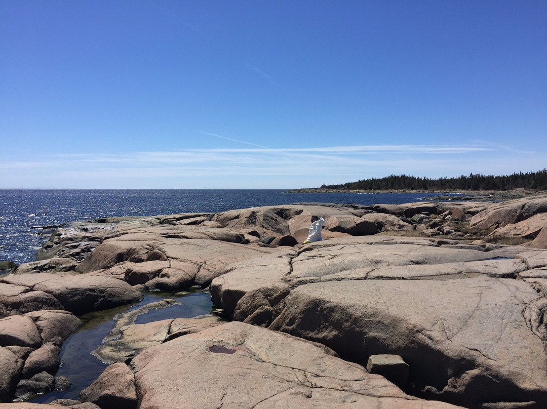 Baie-Trinite旅游攻略图片