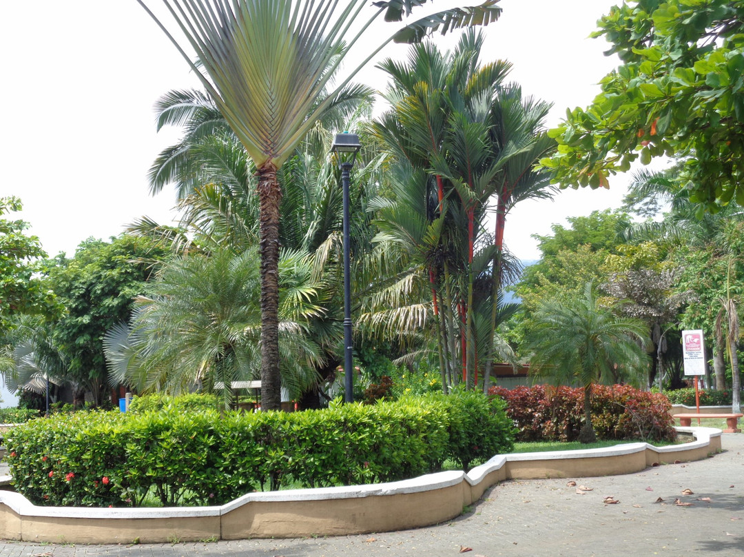 Parque Recreativo Johannes Dankers景点图片