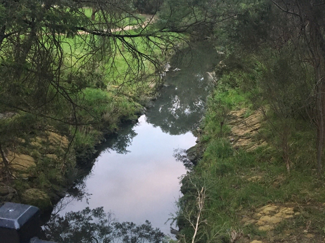 Gardiner Creek Reserve景点图片
