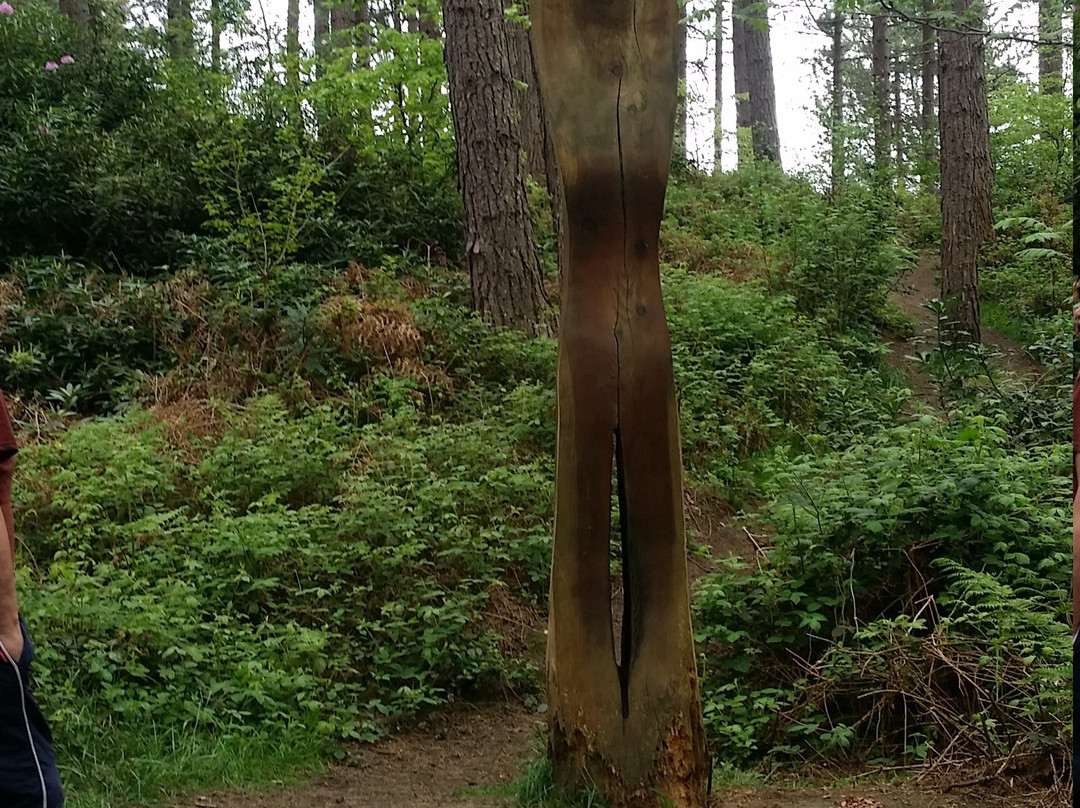 Chopwell Wood-Chopwell必去景点