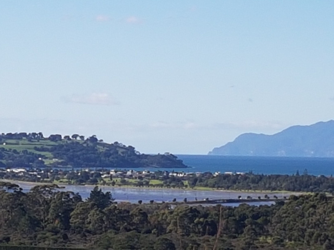 Omaha Bay Vineyard-马塔卡纳小镇必去景点