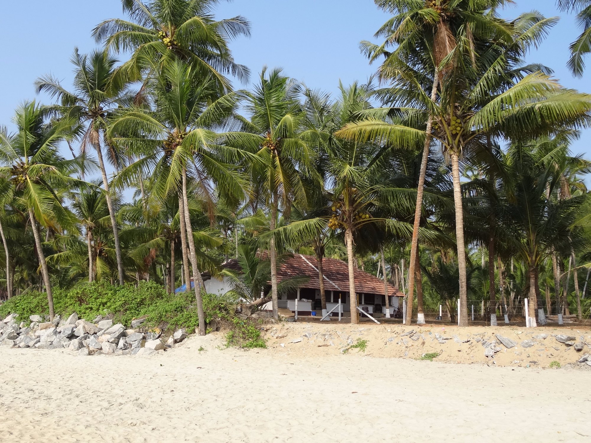 Chombala Beach House-泳池