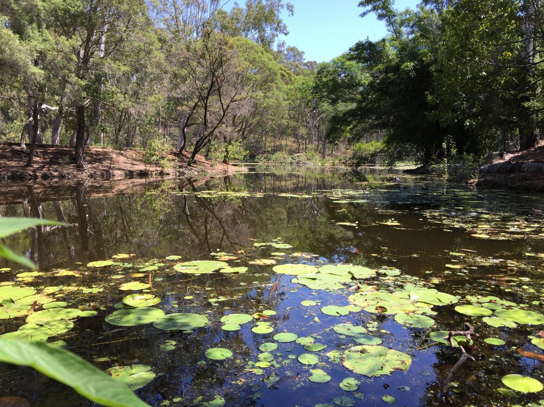 Reg Tanna Park-Gladstone必去景点