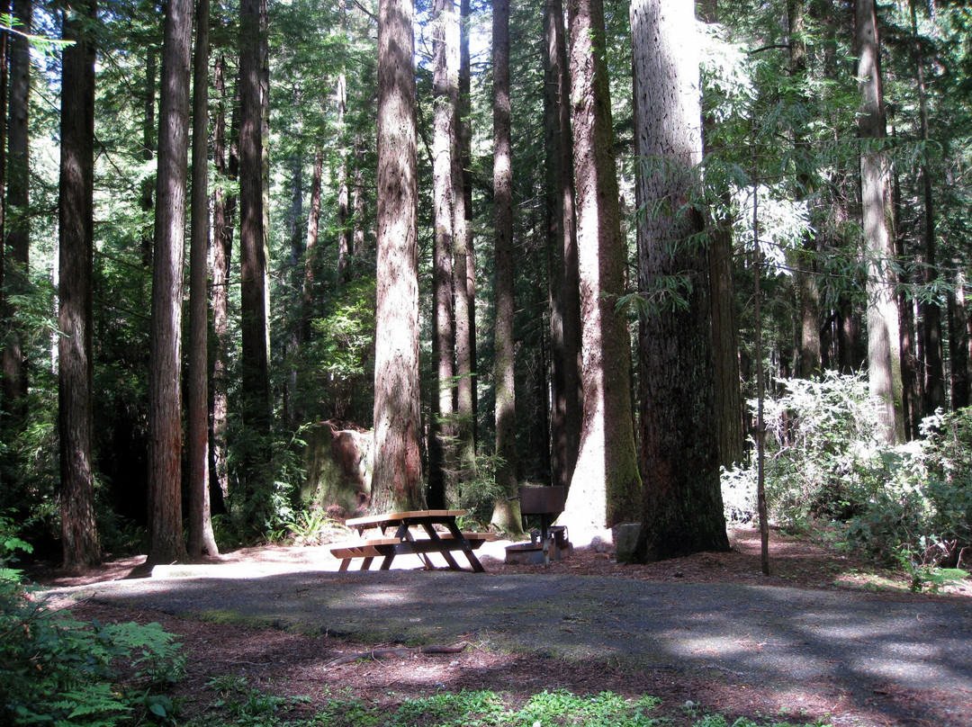 Florence Keller County Park & Campground景点图片